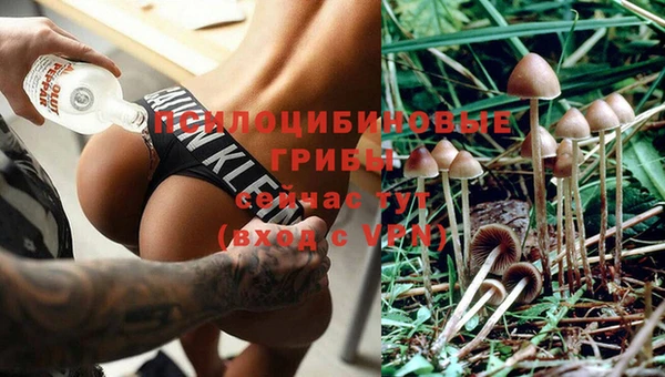 эйфоретик Остров