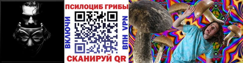 Купить закладки  Ивдель  Галлюциногенные грибы Psilocybine cubensis 